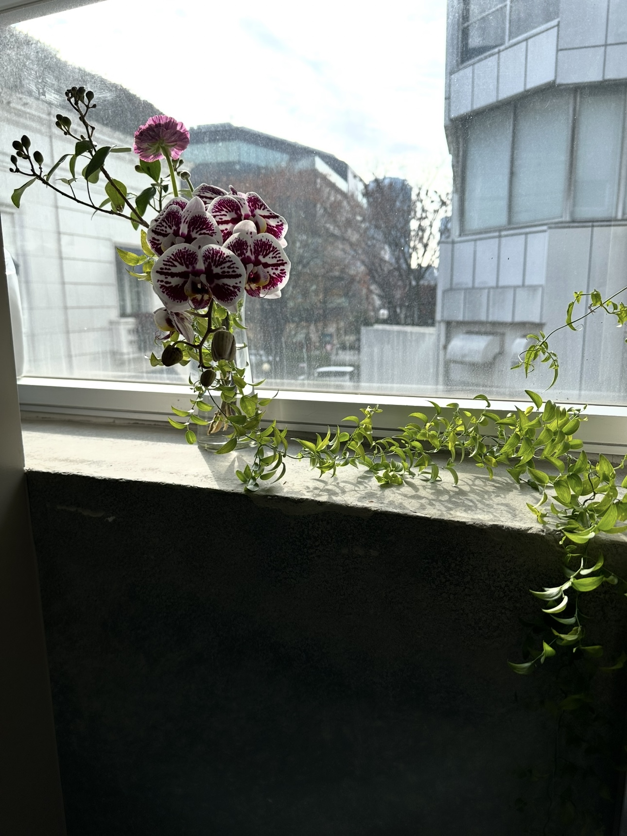 白髪ぼかしで変わるのは髪だけじゃない。鏡を見る時間が楽しくなる